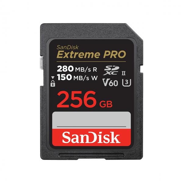 SanDisk SDSDXEP-256G-GN4IN memoria flash 256 GB SDXC UHS-II Classe 10 (PRO 256GB V60 UHS-II SD CARDS - 280/100MB/S V60 C10 UHS-II)