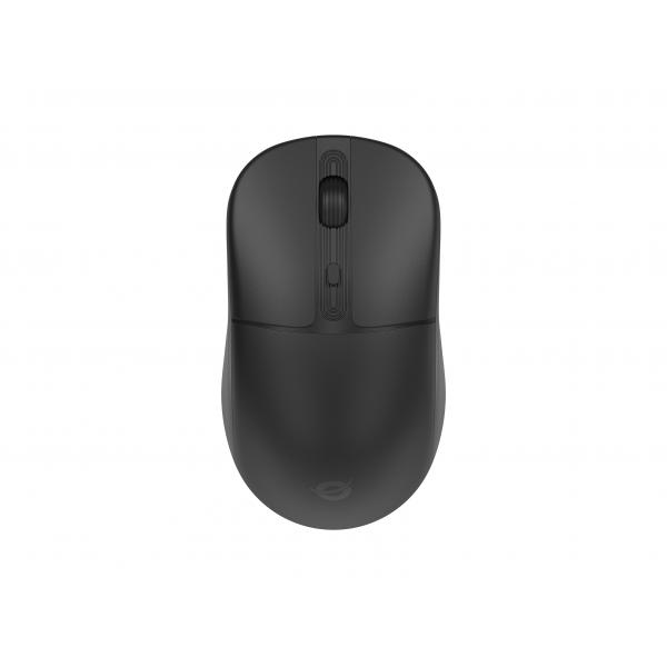 Conceptronic Lorcan04b Mouse Wireless