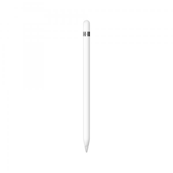 Apple Pencil 1Gen per iPad +Adattatore USB-C MYQW3ZM/A