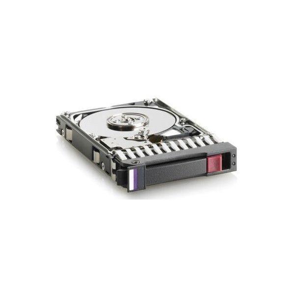 Hewlett Packard Enterprise 713958-001 300GB SAS disco rigido interno (300Gb 10K RPM SAS 2.5 Inch - 713958-001, 2.5, 300 GB, - 10000 RPM - Warranty: 36M)