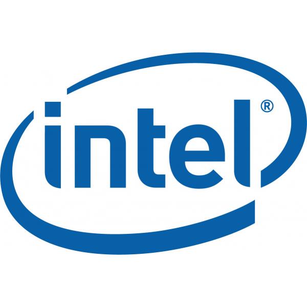 Intel AXXRMFBU4 porta accessori (INTEL RAID MAINTENANCE FREE BACKUP BBU)