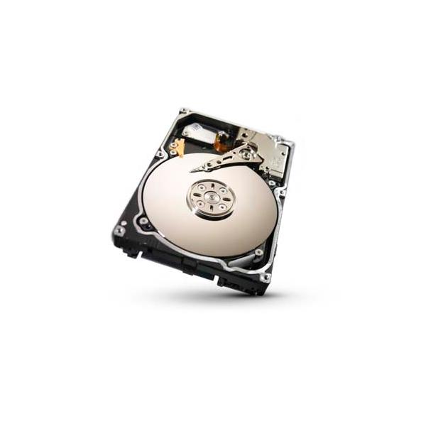 1TB 64MB 7200RPM SAS 6Gb/s