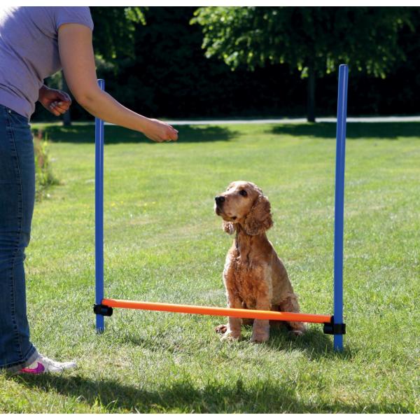 TRIXIE 3207 3pezzo(i) Blu, Arancione Plastica Cane Kit di attrezzatura per agility attrezzatura per agility per animali domestici