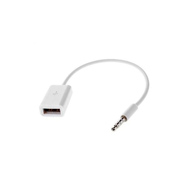 USB to mini Jack Adapter,