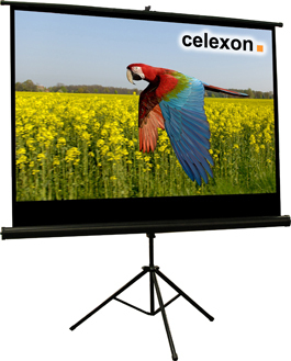 Celexon 1090023 schermo per proiettore 16:9