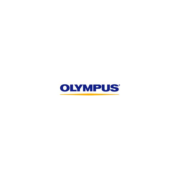 Olympus DS-9000 dittafono Flash card Nero