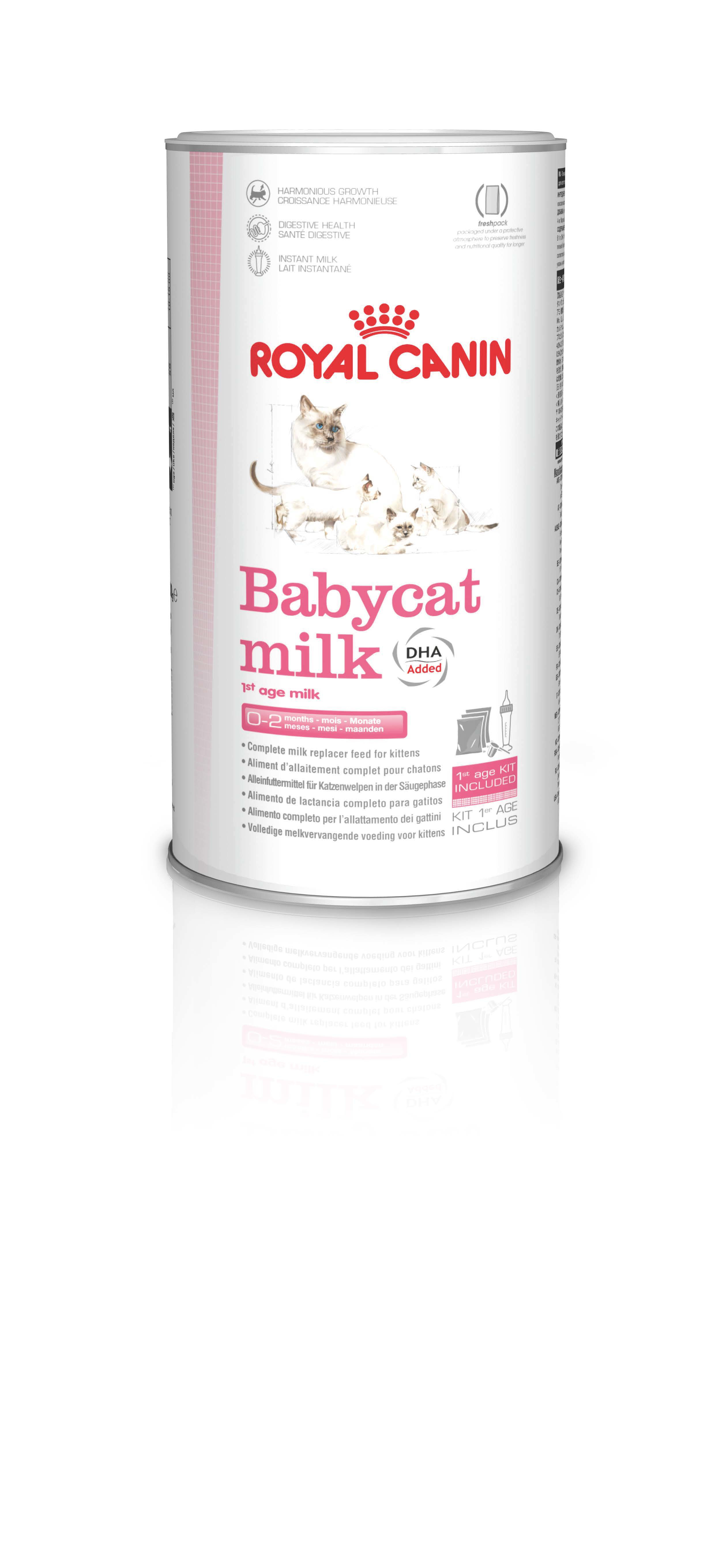 Royal Canin Babycat Milk cibo secco per gatti 300 g Gattino