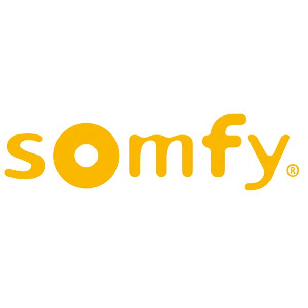 Somfy Outdoor Camera anthrazit mitsmarten Funktionen 2401563 - Netzwerkkamera