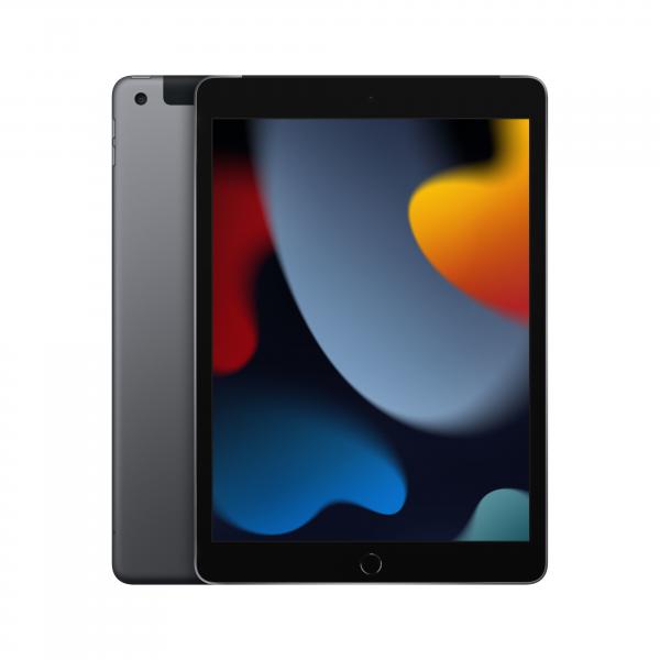 10.2-inch iPad Wi-Fi + Cellular 256GB - Grigio Siderale
