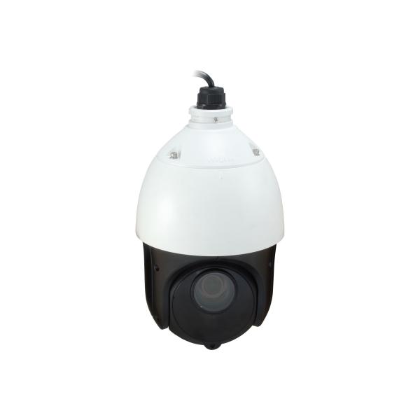 LevelOne FCS-4051 telecamera di sorveglianza Cupola Telecamera di sicurezza IP Interno e esterno 1920 x 1080 Pixel Soffitto