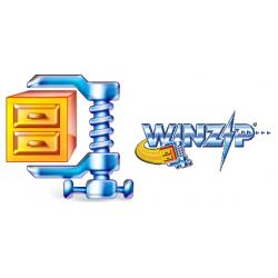 Corel Corel WinZip 15 Standard, WIN, 2-9u, 1y, MNT File compressor 1 anno/i