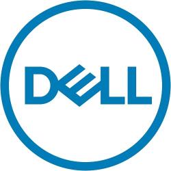 Dell Technologies DELL 345-BBCW drives allo stato solido 2.5